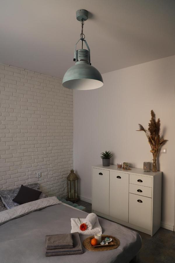 רודה שלונסקה Apartament Poludniowy מראה חיצוני תמונה